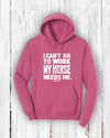 "I Can't go to work, My horse needs me!" Hoodie